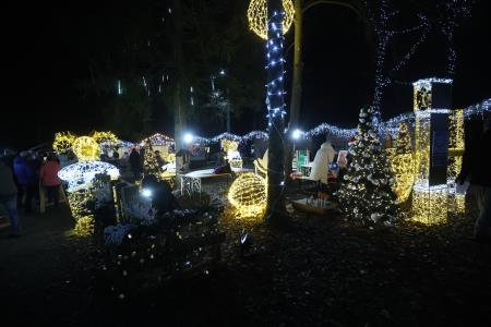 Festival Božičnih pesmi (5)